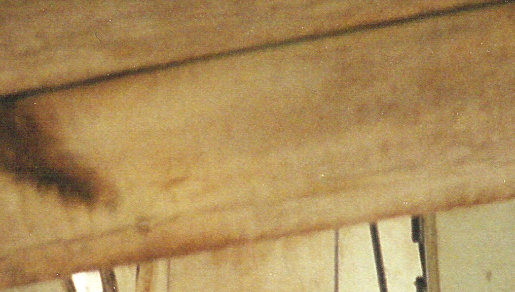 Reciprocating saw marks on house floorboards on Michael Korns, Sr. farm, Somerset County, PA.
