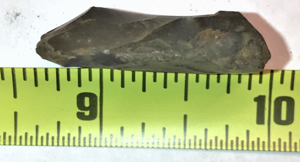 Side view of a musket flint that was found in a bucket of gun-related items on a Lepley farm in Southampton Township, Somerset County, Pennsylvania (shown beside a ruler, to illustrate the size of the flint).