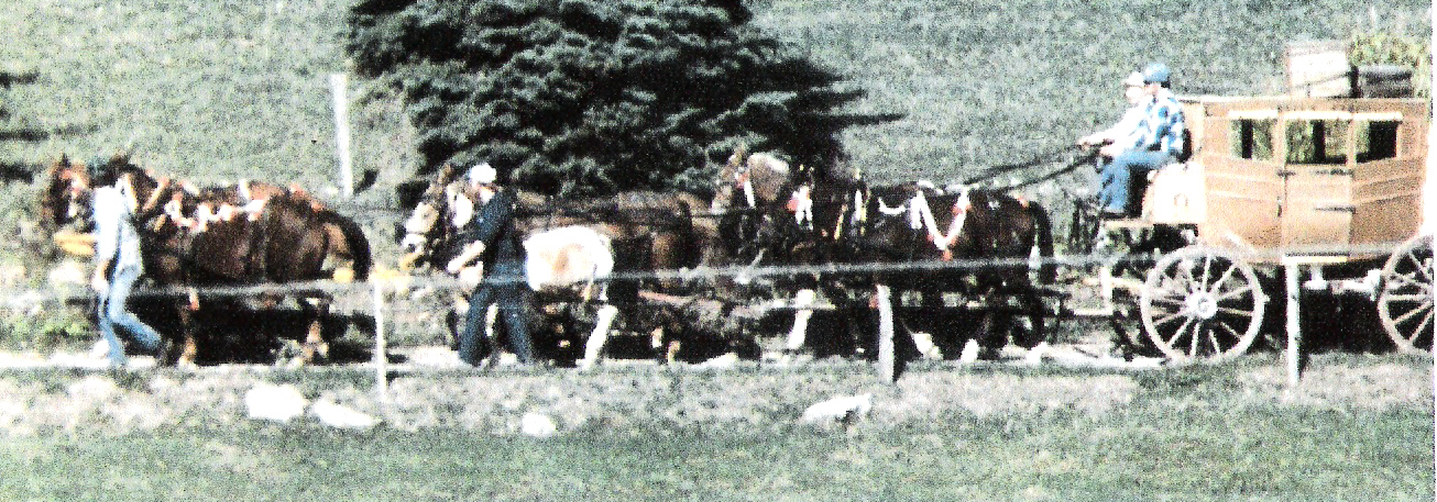 Lester Korns' stage coach in action