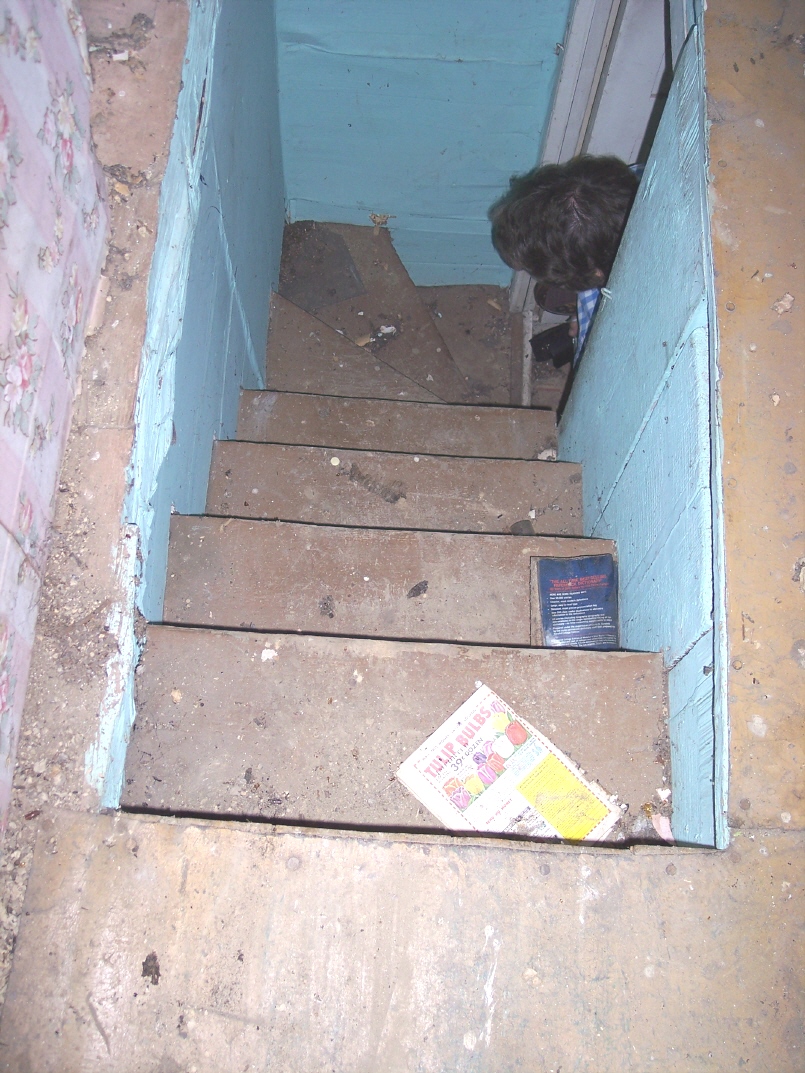 Attic stairs (looking  down) in the Korns farmhouse, Southampton Township, Somerset County.
