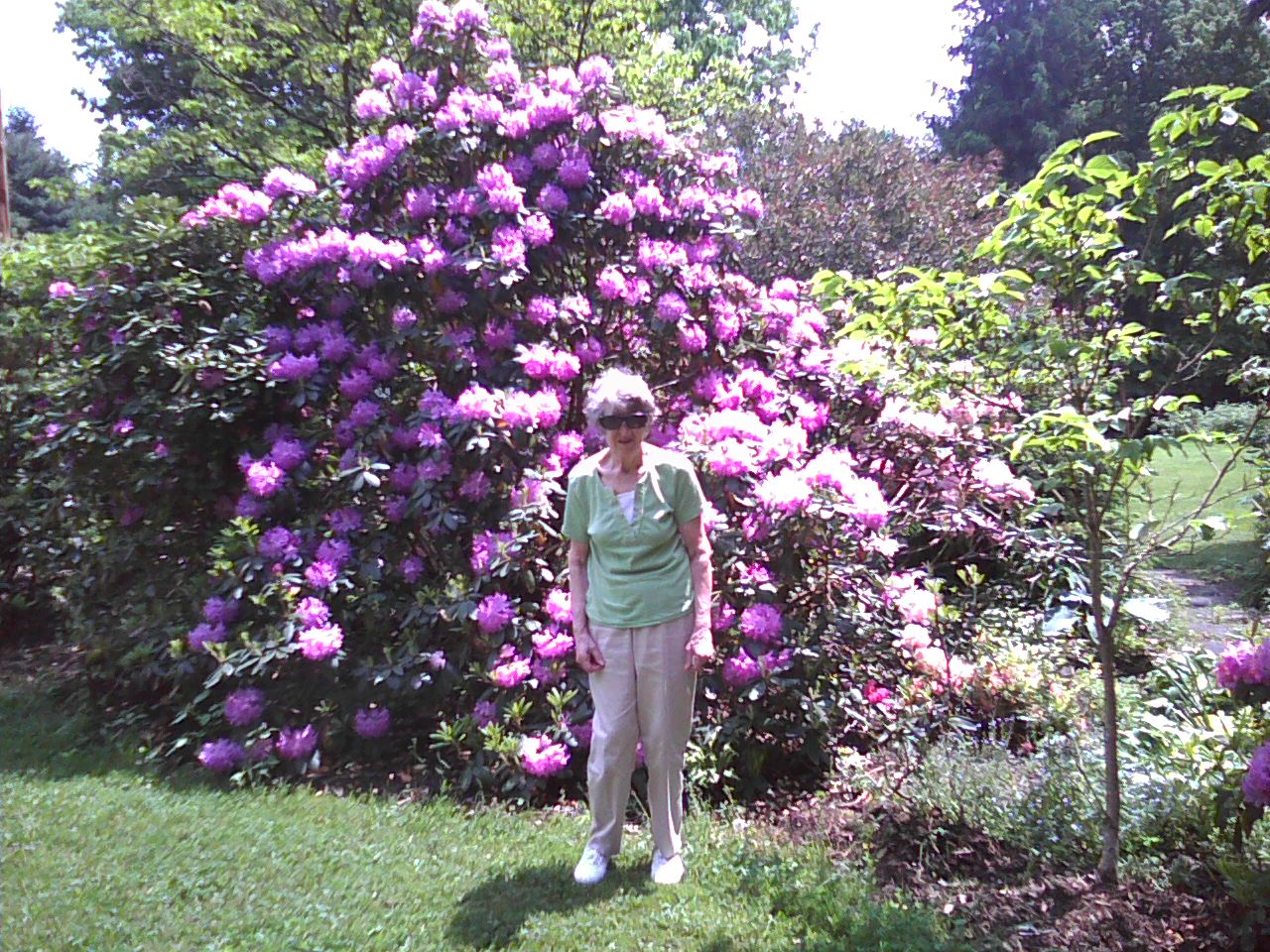 Estalene with bushes in bloom.
