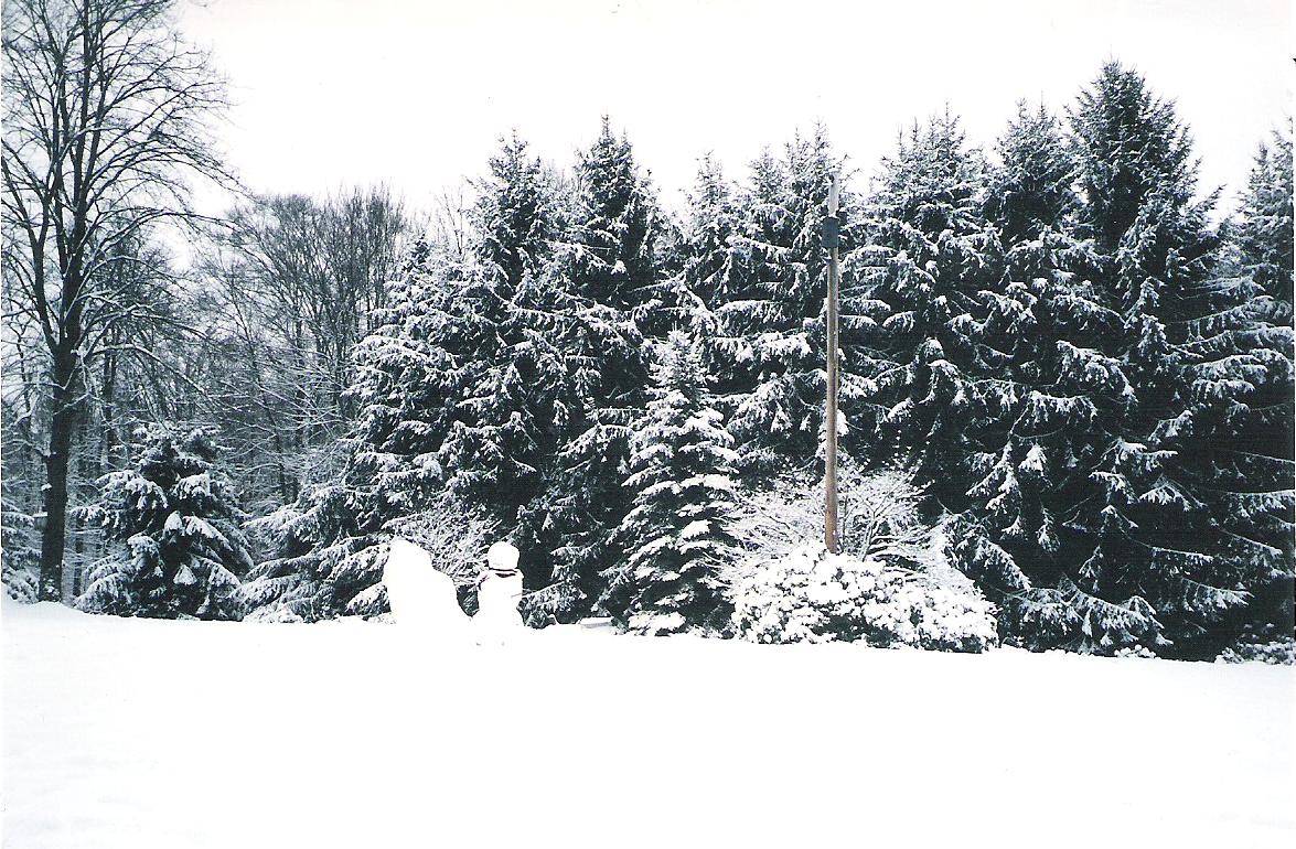 side yard in wintertime.