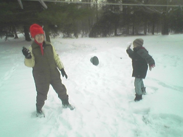 back yard.