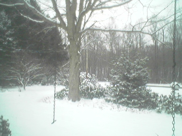 front yard with snow.
