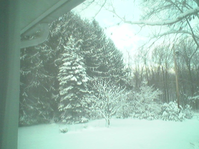 front yard.