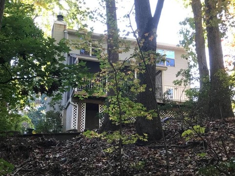 A photo of our back porch, which overlooks a wooded valley.