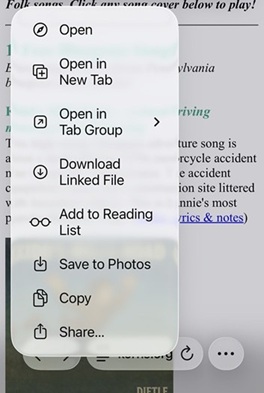 graphic showing how to download a song using Safari.