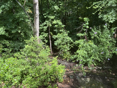 The view from our back porch.
