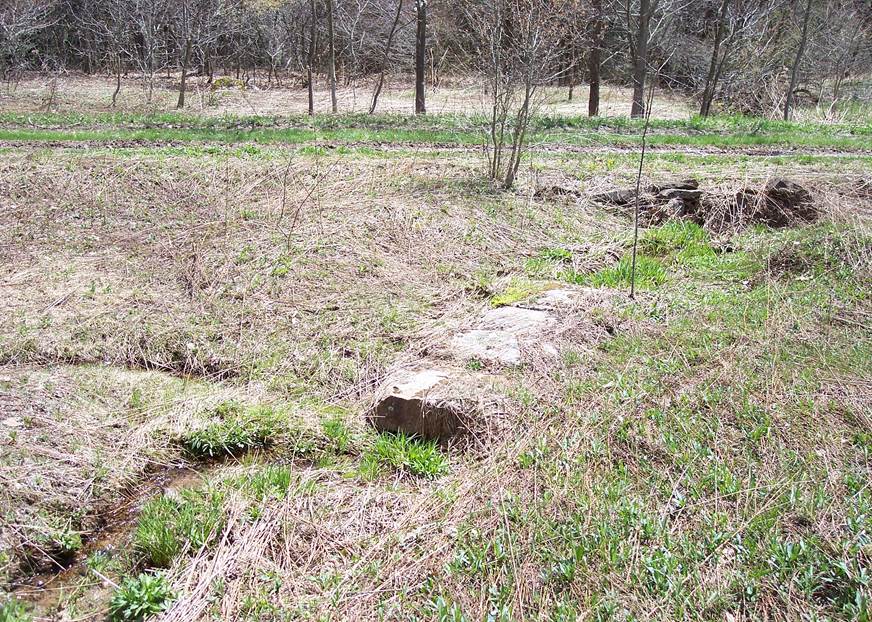 This photo shows a stone culvert from the Turkey Foot Road that is located on the east side of the Allegheny Mountain. 