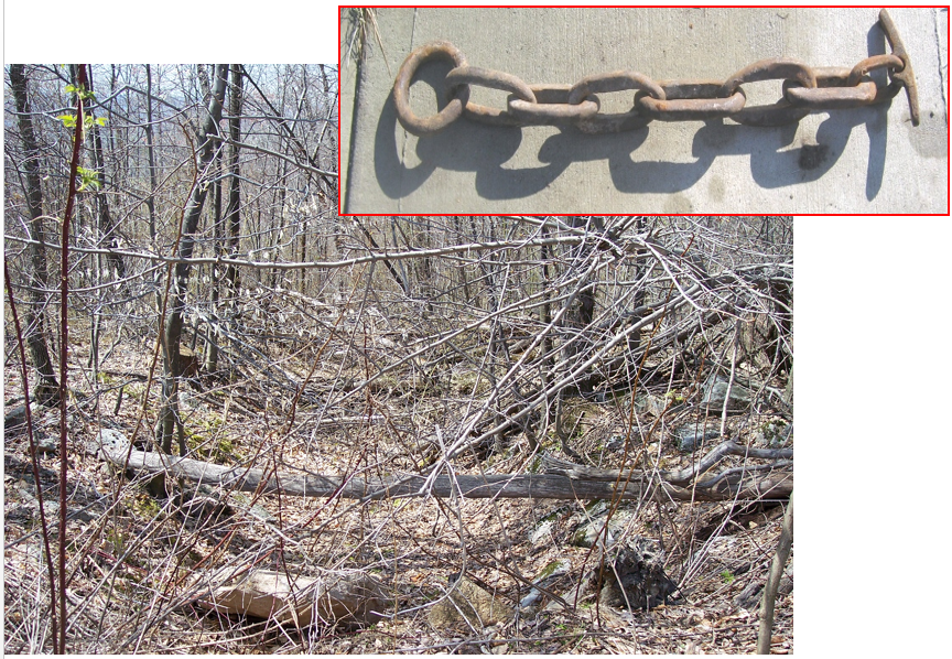 This photo shows the deeply sunken abandoned route of the Turkey Foot Road going straight down the west side of the Allegheny Mountain.