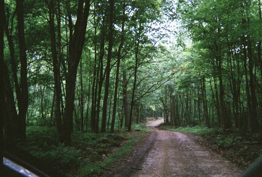 This photo shows Green Road, which is a surviving primitive section of the old Turkey Foot Road. 