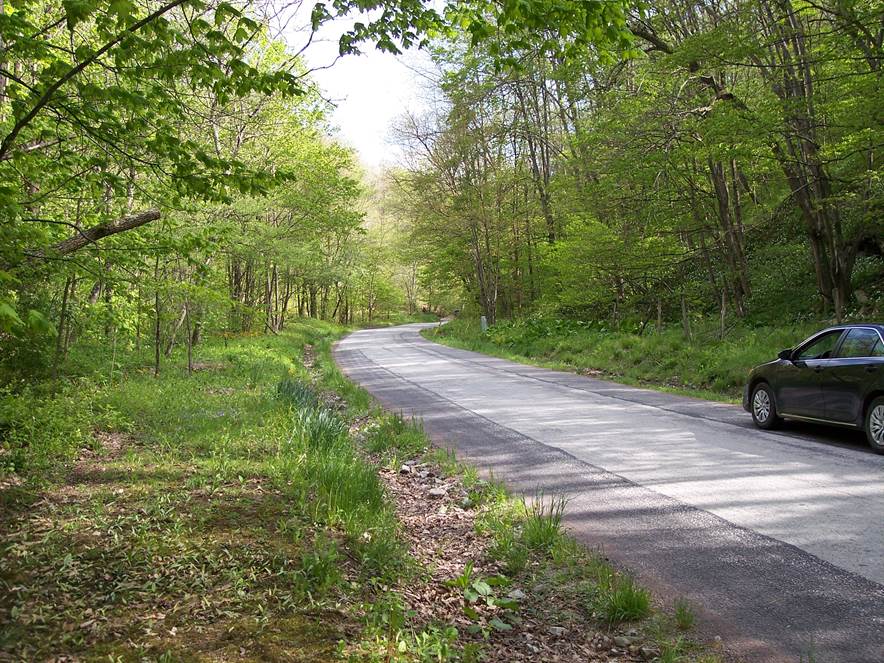 This photo shows Jersey Hollow, north of Ursina.