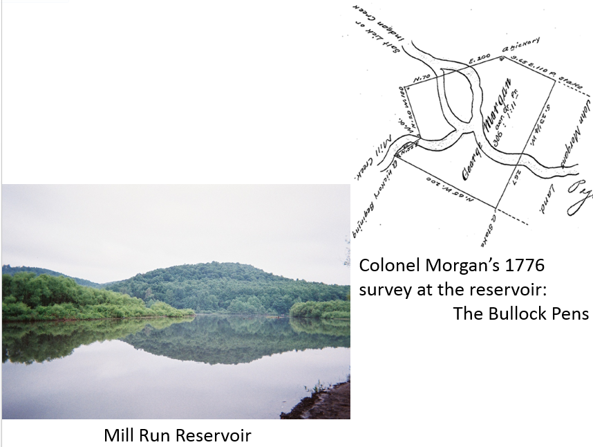  The site of Morgan's Bullock Pens along the Turkey Foot Road.