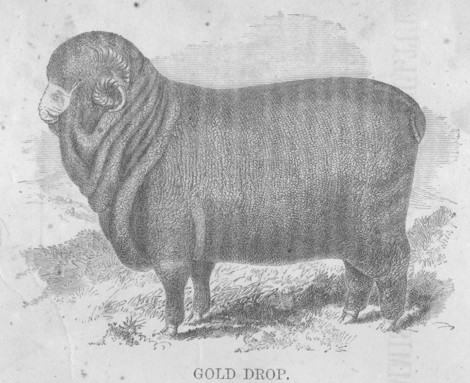 Typical illustration from book