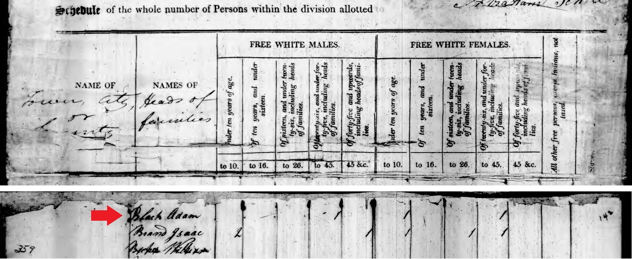 Adam Black in the 1810 census of Somerset Township, Somerset County, Pennsylvania.