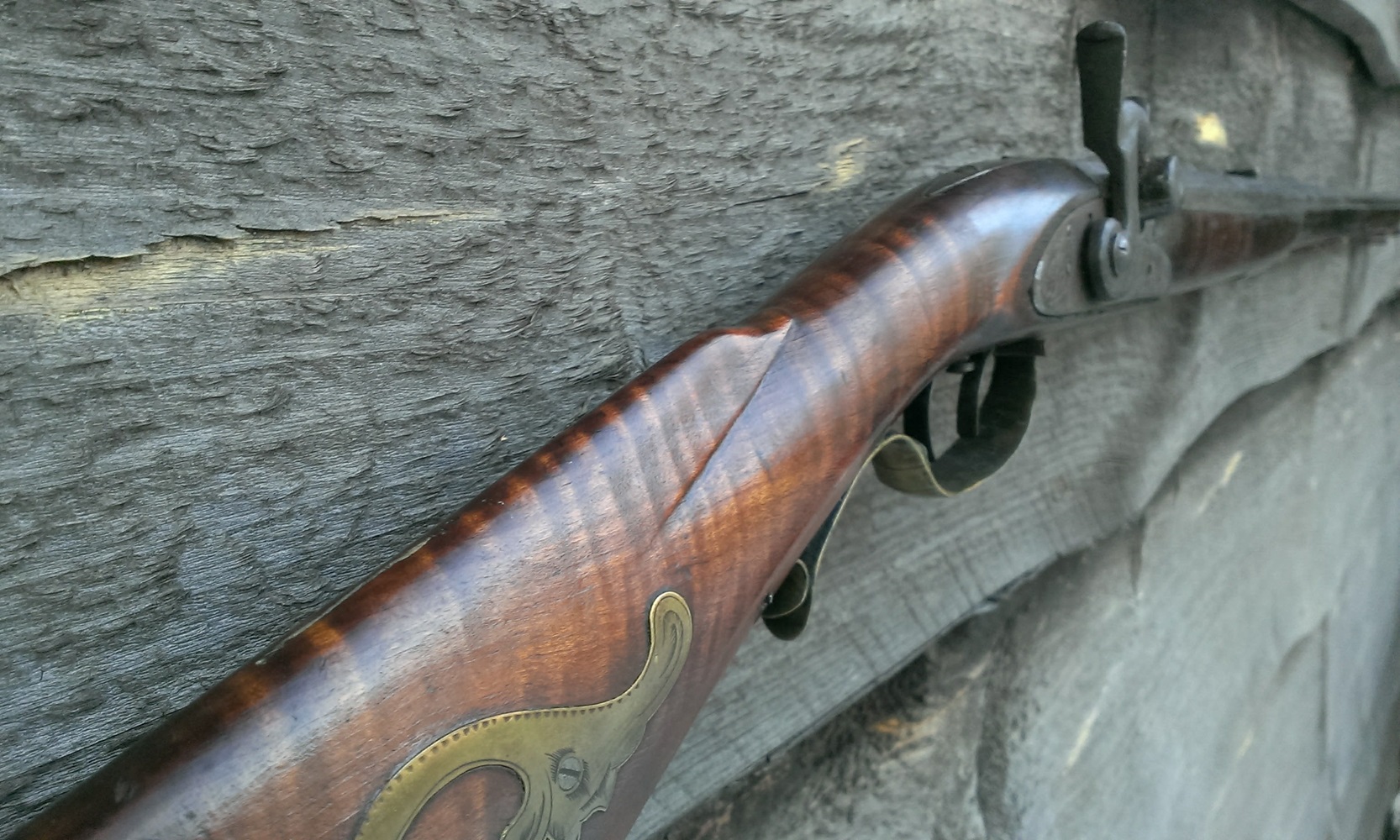 An oblique view of the forward end of the comb.