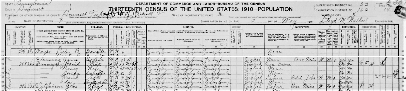 David Dunmyer in the 1910 census of Somerset Township, Somerset County, Pennsylvania. 