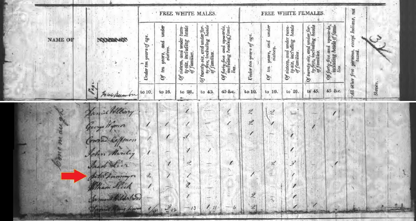 Peter Dormayer in the 1810 census of Conemaugh Township, Cambria County, Pennsylvania and adjoins Somerset County, Pennsylvania. 