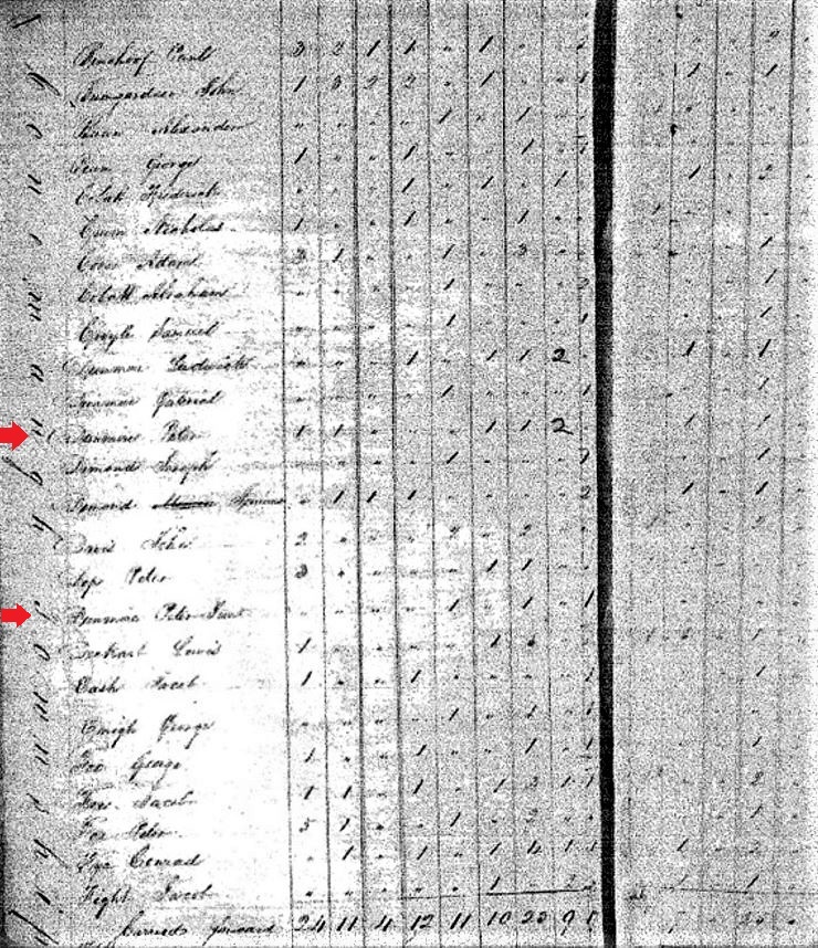 The gunsmith Peter Dormayer is believed to be enumerated in the 1820 federal census of Conemaugh Township, Cambria County, Pennsylvania.