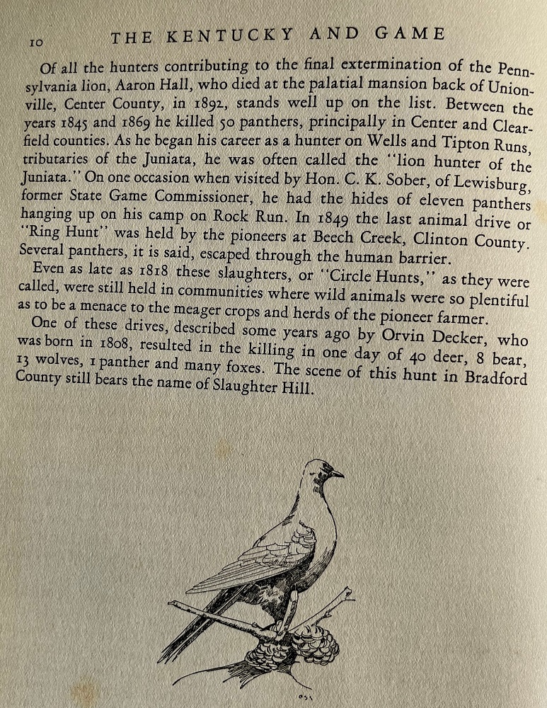 A continuation of the description of large animal drives, known as circular hunts.
