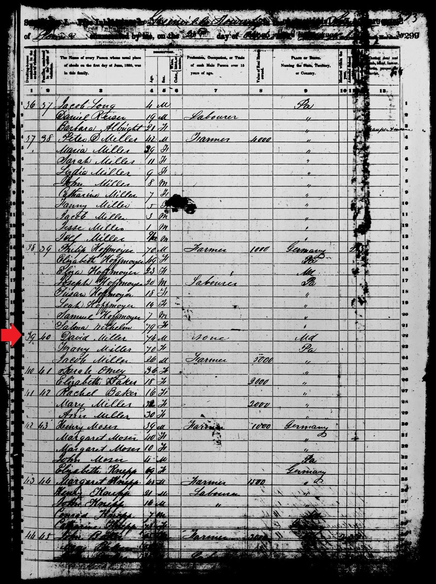 David and Frania Miller in the 1850 census records of Greenville Township, Somerset County, Pennsylvania