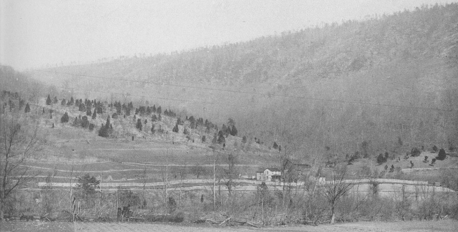 Header image for for Allegany County index.