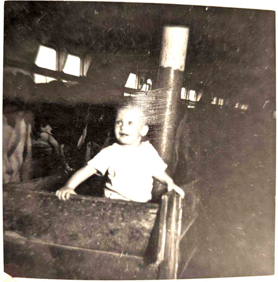 A peek inside the dairy barn on the Allen Lester Korns farm.