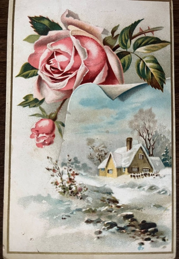 Front of 1895 reward card.